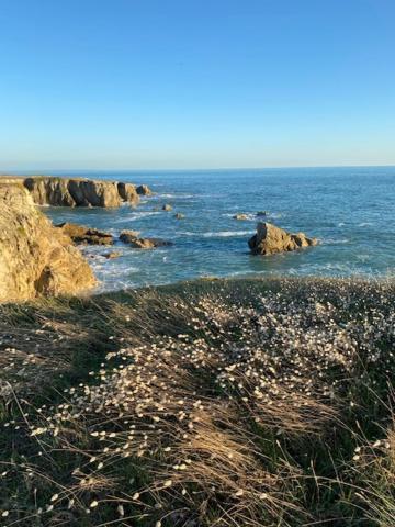 Studio Agreable 300M Cote Sauvage Le Pouliguen Exterior photo
